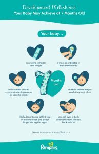 Baby Development by Month